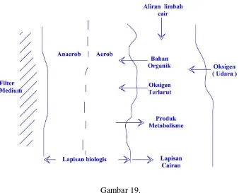Gambar 19. Diagram proses biologis dalam filtrasi biologis 