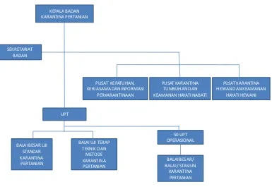 Gambar 3: Struktur Organisasi BARANTAN  