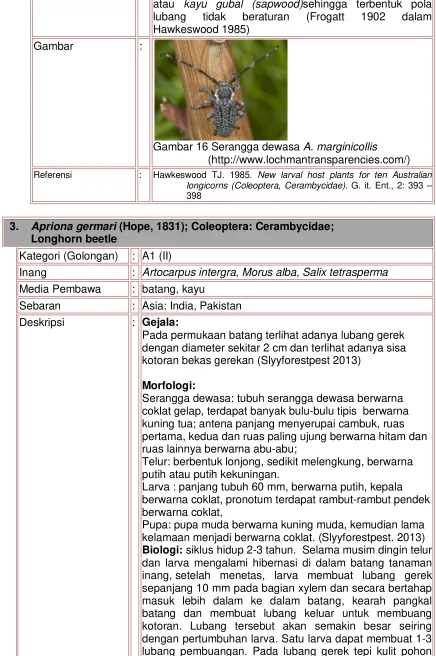 Gambar : 