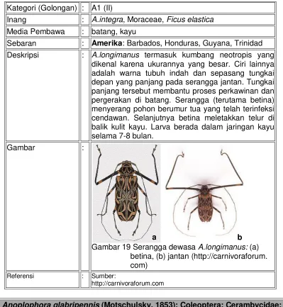 Gambar : 