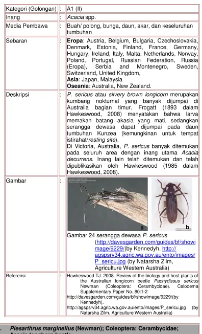 Gambar : 