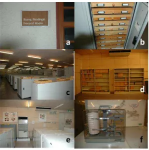 Gambar 8   Ruang penyimpanan koleksi di LIPI: (a) sub-sub kotak dalam kotak  serangga; (b) penyusunan kotak serangga dalam almari penyimpanan koleksi; (c) penyususnan almari-almari penyimpanan koleksi dalam ruang koleksi / mosium serangga; (d) penyusunan koleksi berupa slide, kotak slide disusun secara vertikal sehingga slide di dalamnya dalam posisi horizontal; (e) mosium serangga dilengkapi alat pengatur suhu ruangan (AC); dan (f) dilengkapi dengan alat pencatat kelembaban    