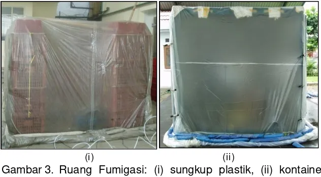 Gambar 3.  Ruang Fumigasi: (i) sungkup plastik, (ii) kontainer 