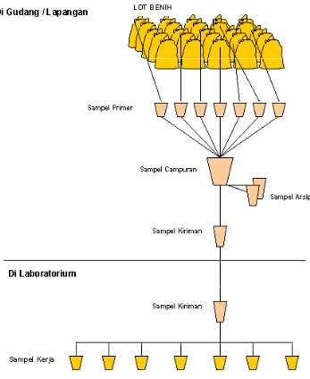 Gambar . Tata alur pengambilan sampel di lapangan sampai di laboratorium sesuai dengan ketentuan ISTA (Sumber : ISTA, 2004)