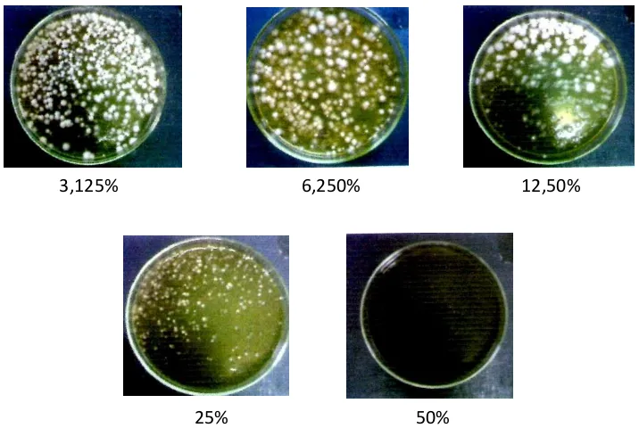Gambar  2.  Hasil Uji difusi ekstrak etanol dan etil asetat daun sidaguri pada enceran 50; 40; 30;                      20; 10%