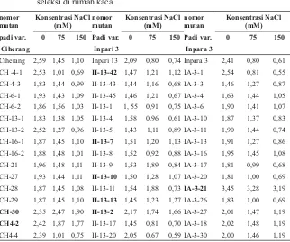 Tabel 5. Nilai rasio K/Na pada daun tiga varietas dan putatif mutan somaklon hasil 
