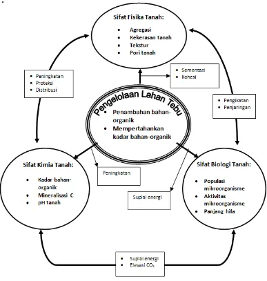 Gambar 1. Model hubungan keterkaitan antara sifat fisik, kimia dan biologi tanah sebagai akibat dari penambahan bahan organik (Sumber: Djajadi, 2007 dimodifikasi)  
