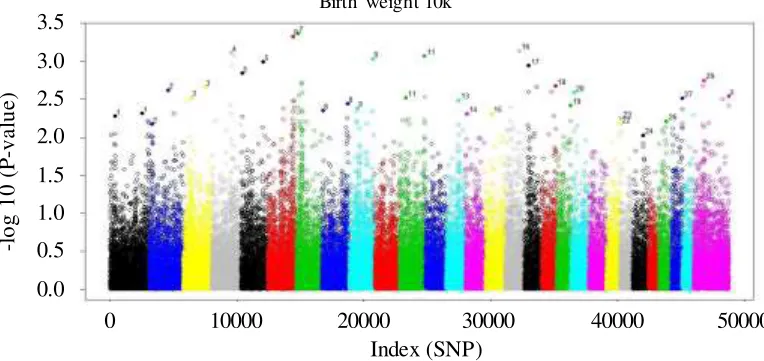 Figure 1. Chromosomes and SNPs position from this study are shown on Manhattan plots in Different colors in the figures are used to separate different chromosome based on cattle genome