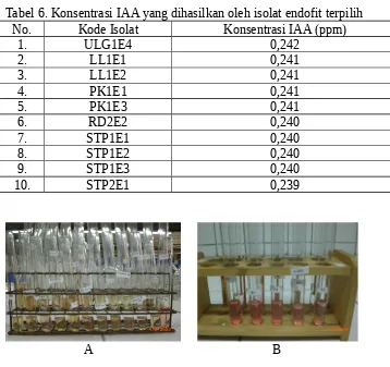 Tabel 6. Konsentrasi IAA yang dihasilkan oleh isolat endofit terpilih