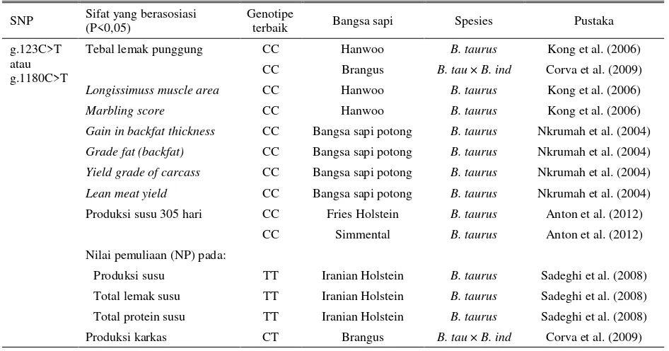 Tabel 3. Sebaran frekuensi genotipe dan alel pada gen leptin dari berbagai bangsa sapi (lanjutan) 