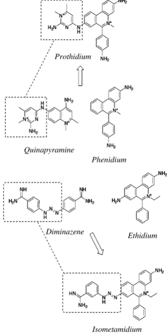 Gambar 4. Derivatisasi 