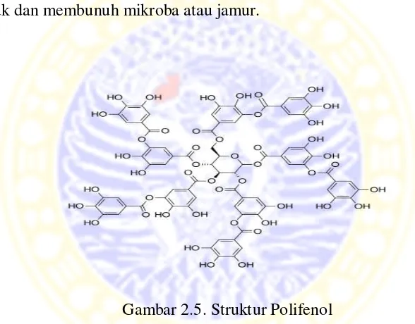 Gambar 2.5. Struktur Polifenol 