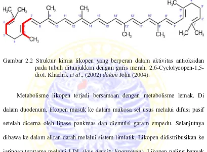 Gambar 2.2 Strukturuktur kimia likopen yang berperan dalam aktivi