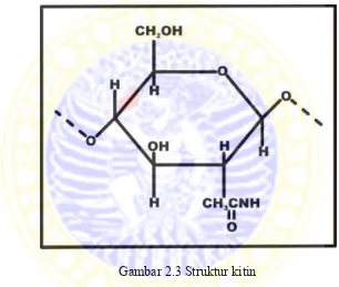 Gambar 2.3 Struktur kitin 