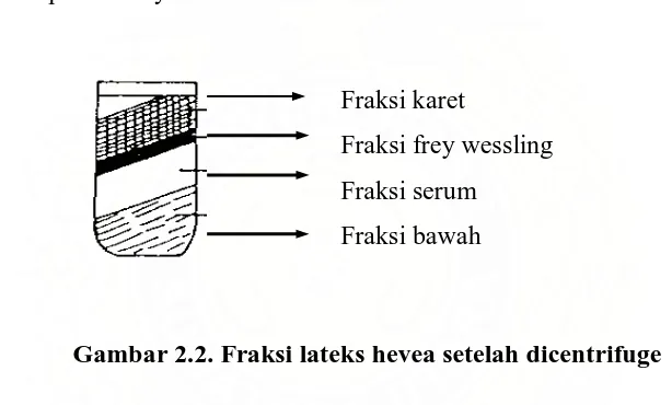 Gambar 2.2. Fraksi lateks hevea setelah dicentrifuge 
