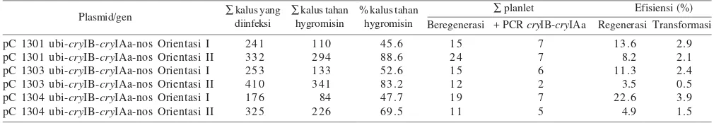 Tabel 2. Hasil uji GUS pada kalus umur tiga hari setelah infeksi