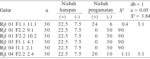 Tabel 4. Segregasi gen cryIB-cryIAa pada populasi T1