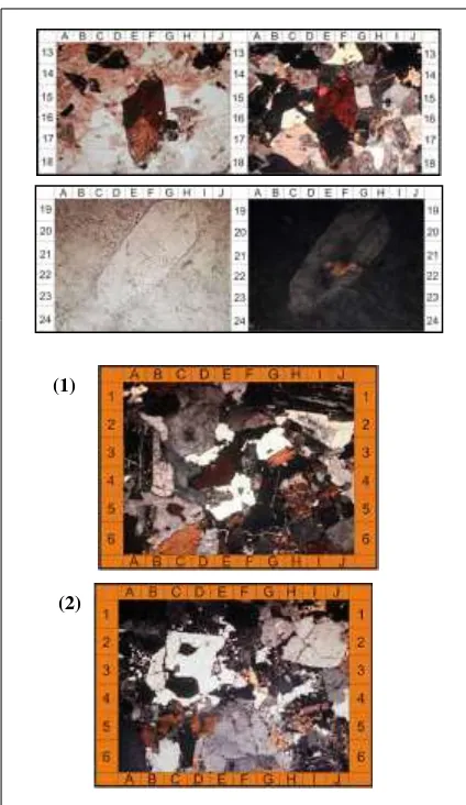 Tabel 2.  Komposisi kimia major element (wt%) pada batuan granit daerah penelitian. 