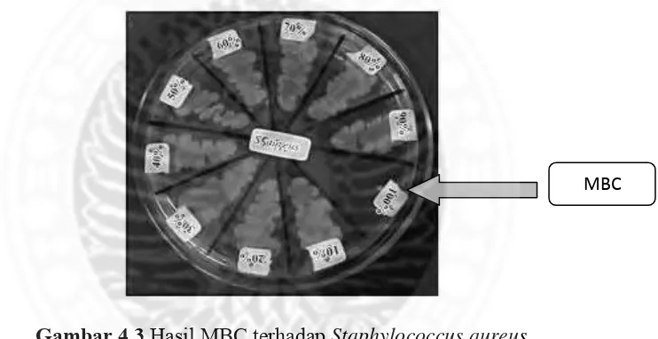 Gambar 4.3 Hasil MBC terhadap Staphylococcus aureus 