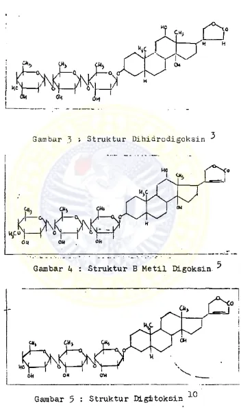 Gambar 3 • Struktur Dihidrodigoksin ^