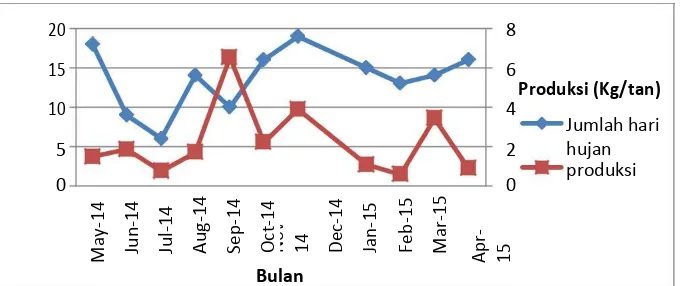 Gambar 1. Jumlah curah hujan dan produksi buah naga di KP. Aripan Balitbu Tropika Mei 2014-April 2015  