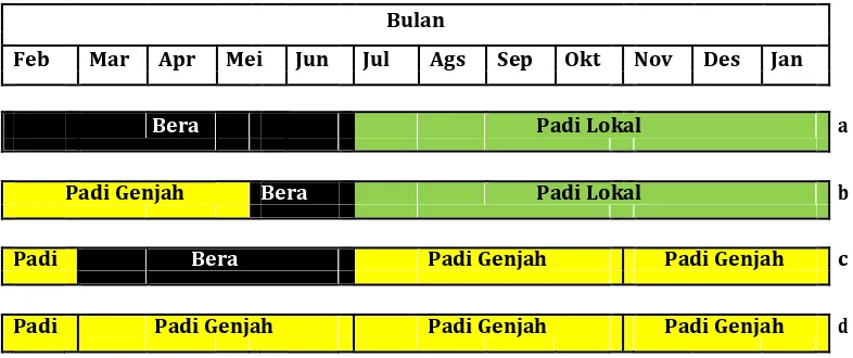 Gambar 2. (a) Pola tanam petani, (b) pola tanam yang pernah dilaksanakan Dinas Pertanian, (c) pola tanam yang sesuai di Kecamatan Kuala Kampar Kabupaten Pelalawan, (d) pola tanam yang diuji saat penelitian