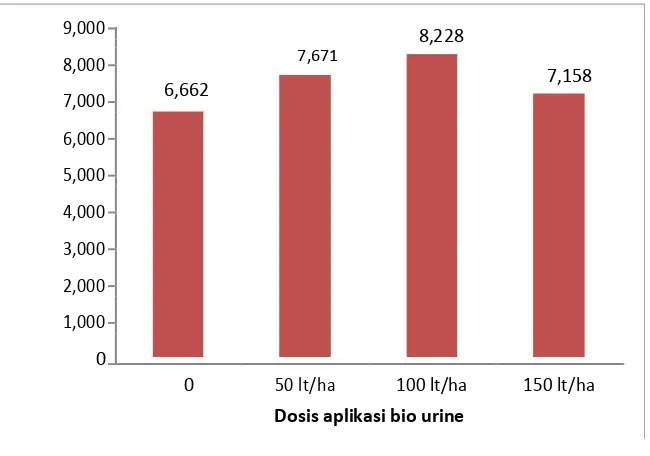 Gambar 1.    Perkiraan produksi per hektar umbi bawang merah kering panen di lahan gambut Kalimantan Barat pada berbagai dosis aplikasi bio urine