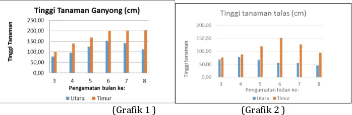 Grafik 1. Tinggi Tanaman Ganyong di WK. Jakarta Timur dan di Jakarta Utara Grafik 2. Tinggi Tanaman Talas di WK