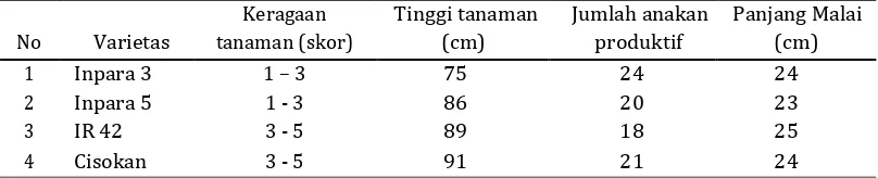 Tabel 2. Keragaan tanaman, rata-rata tinggi tanaman, jumlah anakan produktif, panjang malai pada kegiatan keragaan varietas unggul baru (VUB) inpara 3 dan inpara 5 di lahan pasang surut Provinsi Jambi 