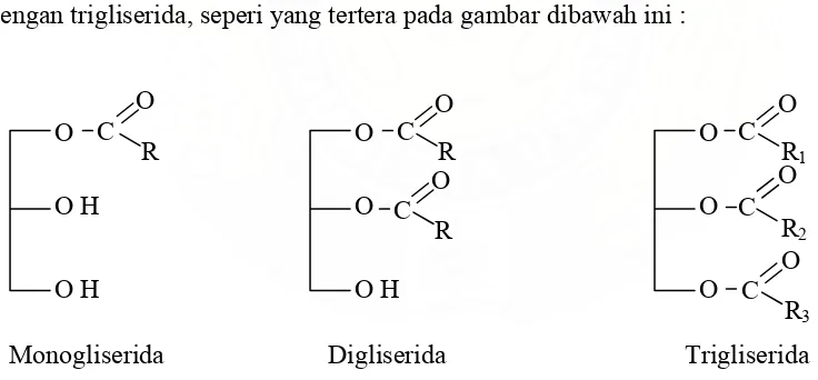 Gambar 2.2. Jenis – jenis gliserida 