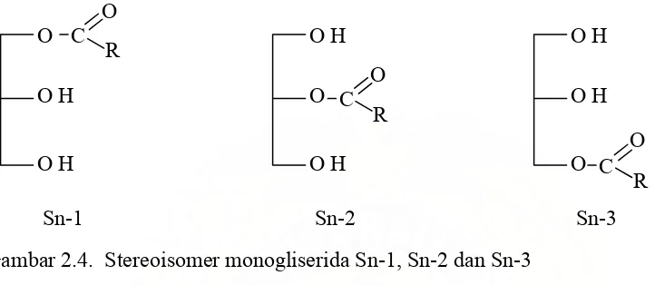 Gambar 2.4.  Stereoisomer monogliserida Sn-1, Sn-2 dan Sn-3 