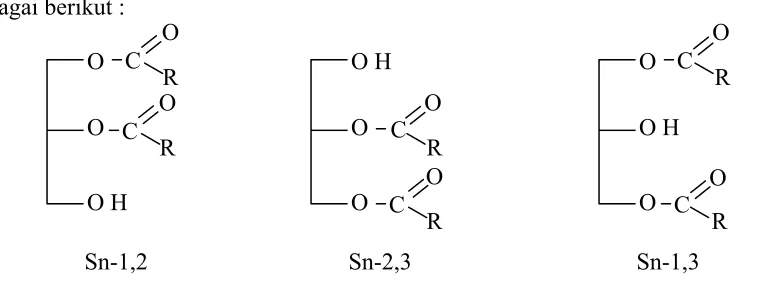 Gambar 2.5. Isomer digliserida Sn-1,2, Sn-2,3 dan Sn1,3. 
