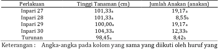 Tabel 21.Rata-rata hasil pengukuran tinggi tanaman (cm) dan jumlah anakan produktif (anakan) masing-masing perlakuan