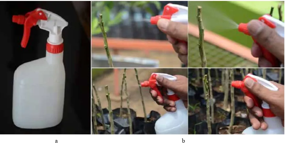 Gambar 2.  Macam zat pengatur tumbuh tanaman. (a) Rootone-F, (b) giberelin, (c) bawang merah,  dan (d) air kelapa muda