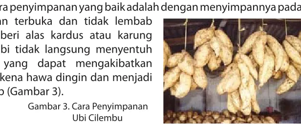 Gambar 3. Cara Penyimpanan