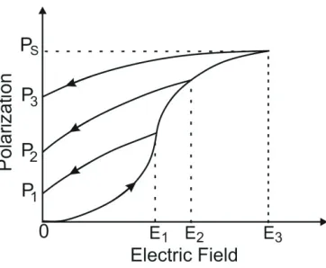 FIGURE 1. The relationship between the external electric field with polarization.  