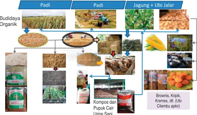 Gambar 5. Kerangka Pikir Perancangan Model Pertanian Bioindustri Bebasis Padi