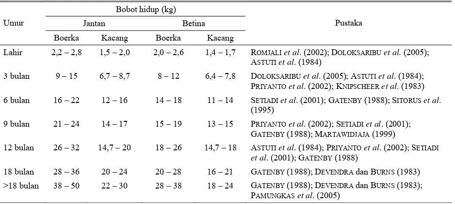 Tabel 2. Bobot hidup kambing Boerka dan Kacang pada berbagai umur 