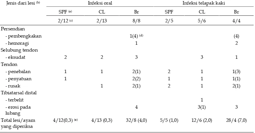 Tabel 1. Jenis lesi pada kaki ayam percobaan setelah 12 minggu pasca infeksi reovirus strain R2 pada umur 1 hari 