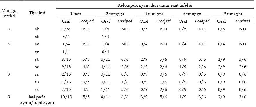 Tabel 2. Perbedaan kepekaan berbagai umur ayam SPF terhadap infeksi reovirus 
