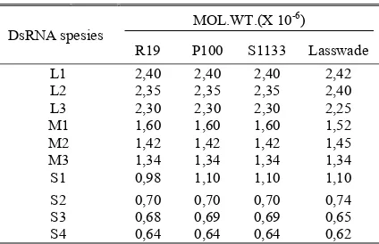 Tabel 3. Berat molekul double-stranded RNAs dari beberapa strain avian reovirus 