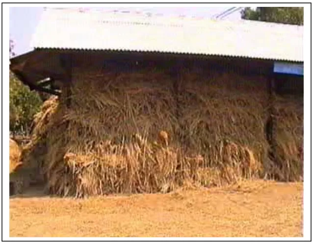 Figure 2. Incubation step of  fermentation process of rice straw 