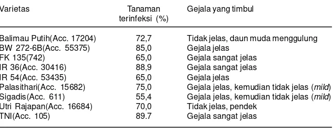 Tabel 3. Gejala tungro pada tanaman padi berdasarkan jenis virus (RTBV/RTSV, RTBV danRTSV) pada umur 3-5 minggu setelah inokulasi.