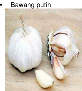 Gambar 6.12: Bawang Putih 