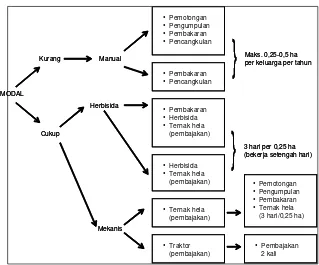 Gambar 3. Teknik pembersihan/pemberantasan alang-alang yang digunakanpetani di Lampung Utara (Hairiah et al