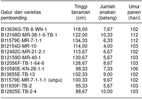 Tabel 4. Galur harapan padi gogo toleran naungan yang akan diujimultilokasi pada MH 2015-2016.