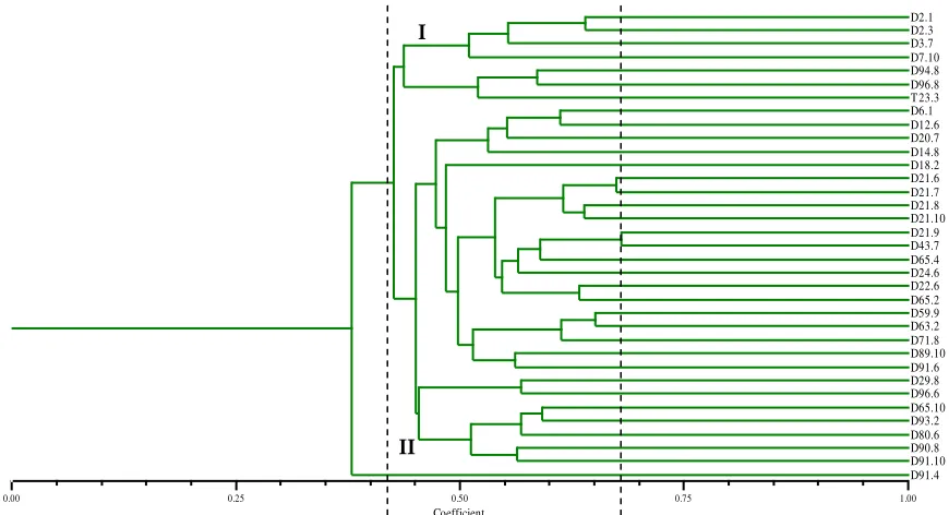 Figure 3. koefisien Dice. Dendrogram built by using amplification result of twenty SSR primers on thirty five of oil palm 