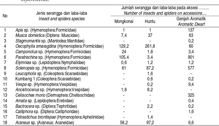 Table 1. Mean number and species of insects and spiders per palm visited to arecanut and coconut bunga  pinang dibandingkan pada bunga kelapa