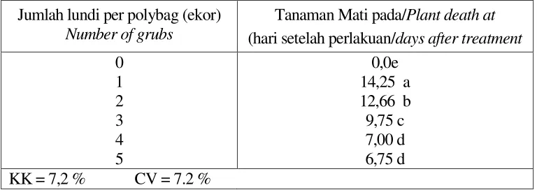 Table 1. Effect of white grub population on the death of patchouli seedlings     