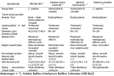 Table 1. Morphological characteristics of Septoria of Indian pennyworth from Bogor 
